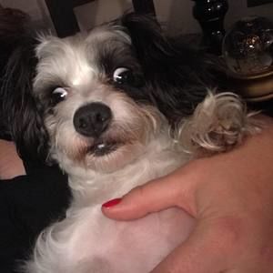 Meet your Posher, Richard